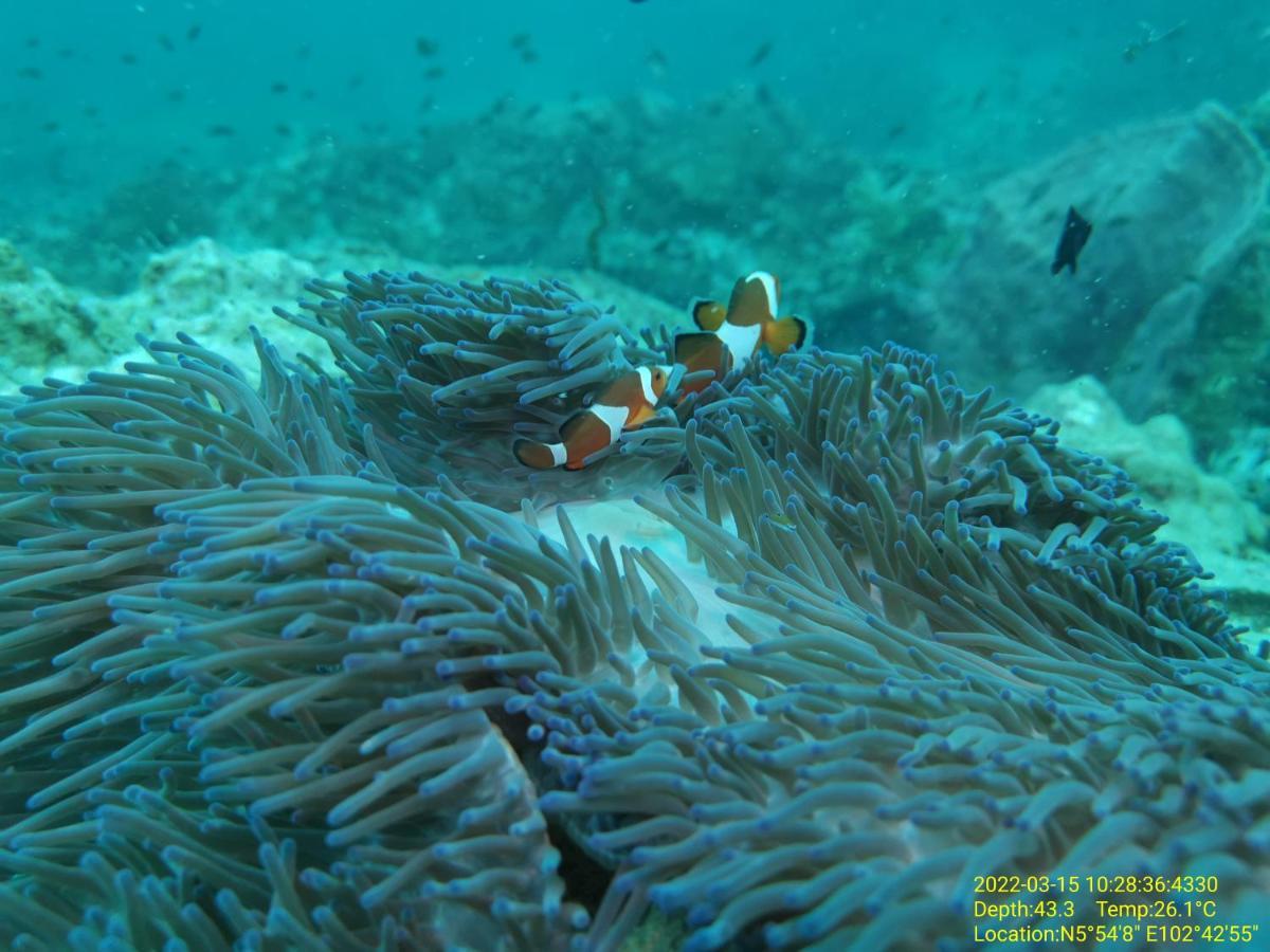 Perhentian Chomel Chalet Екстериор снимка